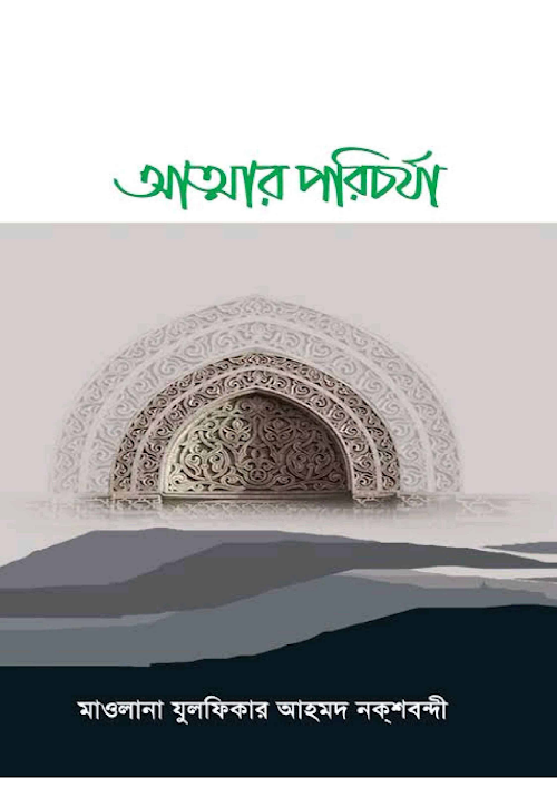 আত্মার পরিচর্যা মাওলানা যুলফিকার আহমদ নকশবন্দী PDF বই কভার