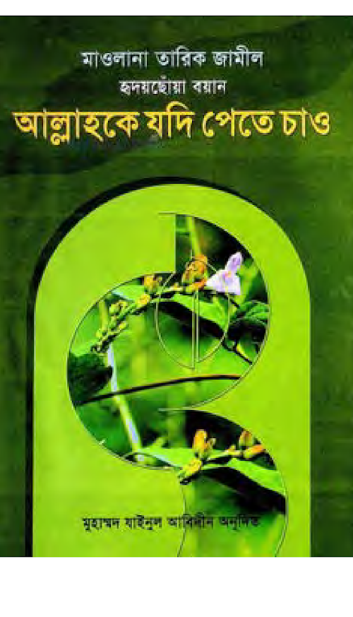 আল্লাহকে যদি পেতে চাও PDF বই কভার