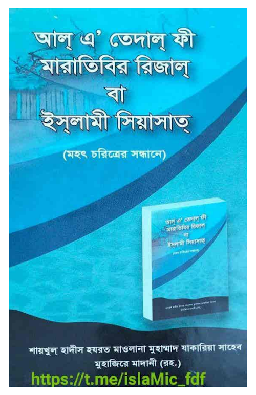 ইসলামী সিয়াসাত্ মহৎ চরিত্রের সন্ধানে ২৫৬ PDF বই কভার