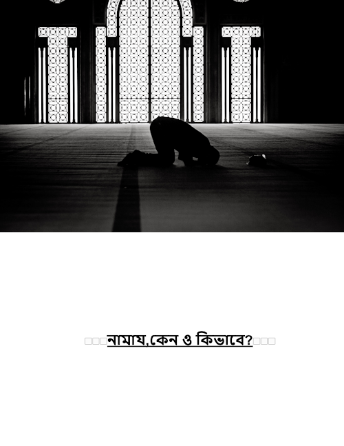 নামাজে মন ফেরানো PDF বই কভার
