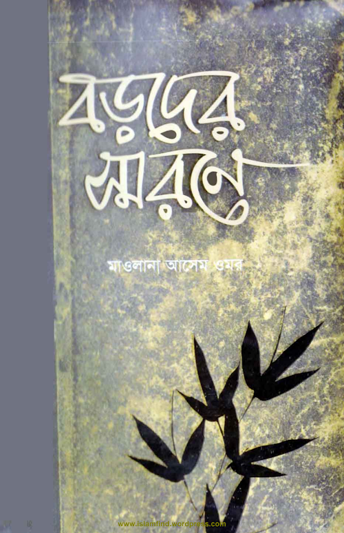 বড়দের স্মরণে PDF বই কভার