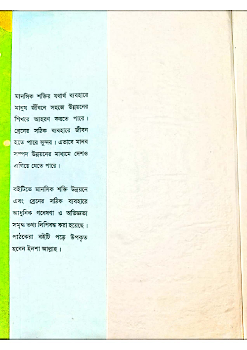 ব্রেন ওয়েভস PDF বই কভার