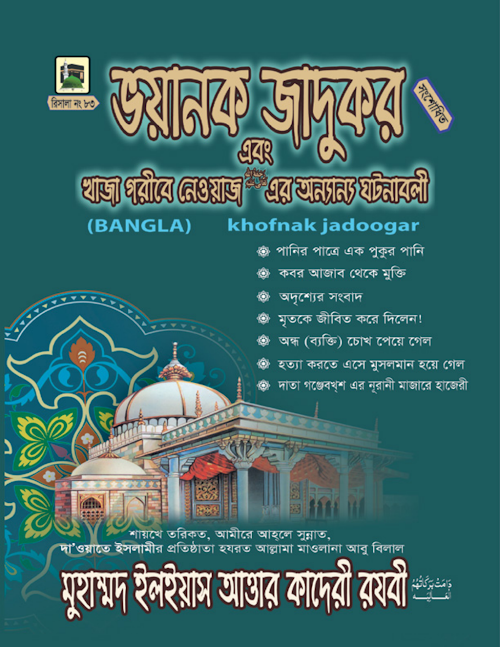 ভয়ানক যাদুকর PDF বই কভার