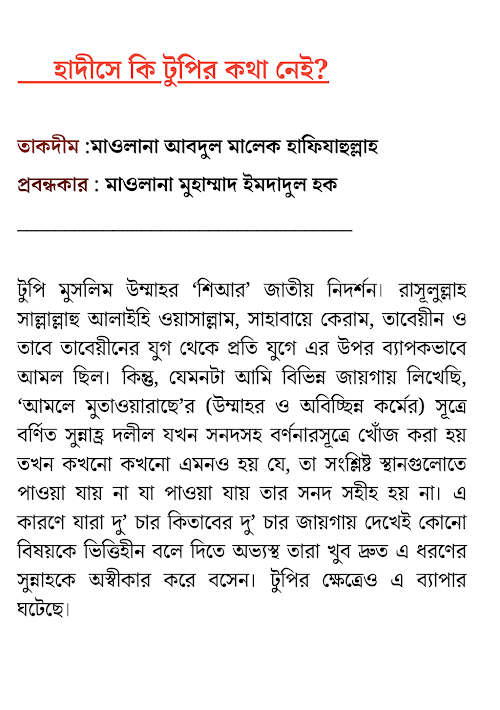 হাদীসে কি টুপির কথা নেই ২৯ PDF বই কভার
