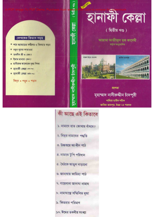 হানাফী কেল্লা ২য় খন্ড PDF বই কভার
