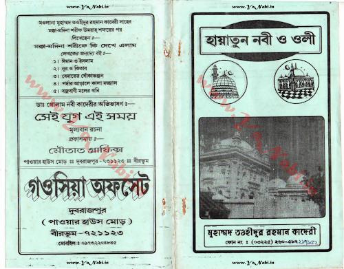 হায়াতুন নবী ও ওলী মৃত্যুর পর PDF বই কভার