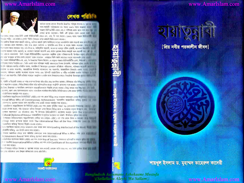 হায়াতুন্নবী সাল্লাল্লাহু আলাইহি ওয়া সাল্লামড তা PDF বই কভার