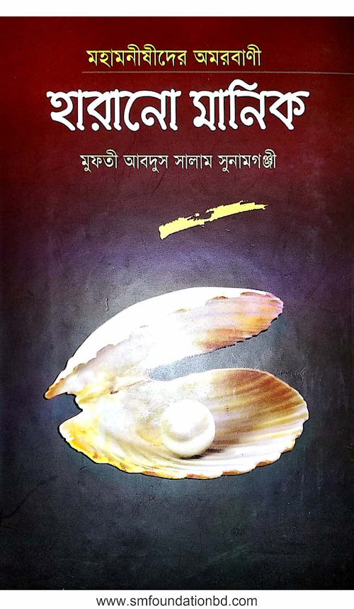 হারানো মানিক ১৯৩ PDF বই কভার