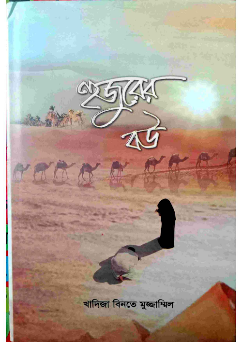 হুজুরের বউ PDF বই কভার