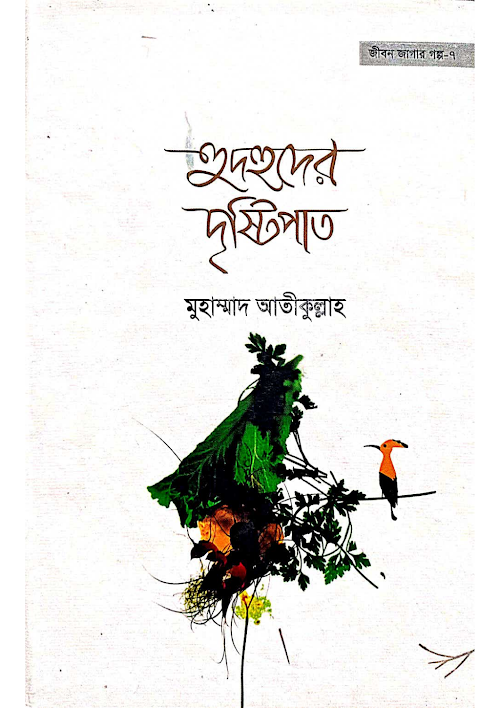 হুদহুদের দৃষ্টিপাত শাইখ আতিক উল্লাহ PDF বই কভার